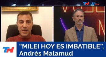 Video: “La imagen de Milei está creciendo”, Andrés Malamud, politólogo