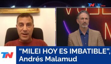 Video: “La imagen de Milei está creciendo”,  Andrés Malamud, politólogo