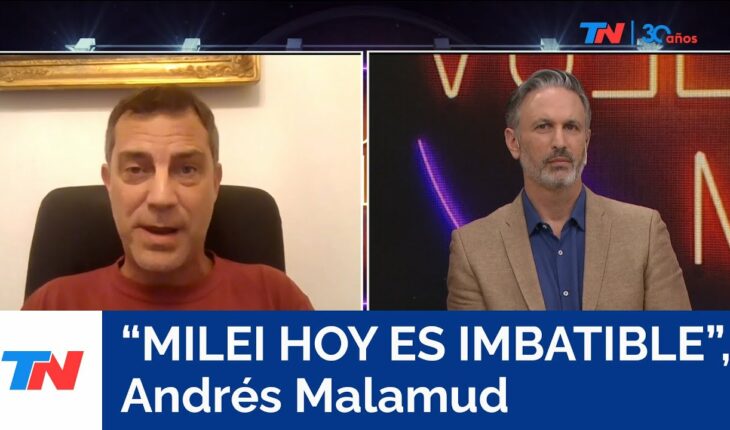 Video: “La imagen de Milei está creciendo”,  Andrés Malamud, politólogo