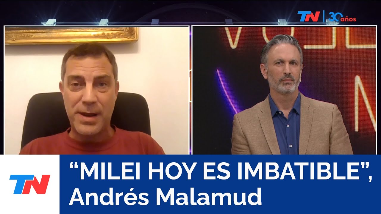 "La imagen de Milei está creciendo", Andrés Malamud, politólogo
