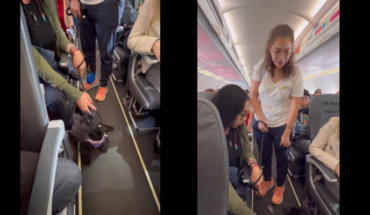 Viva Aerobus baja a mujer que viajaba con su perrito de compañía