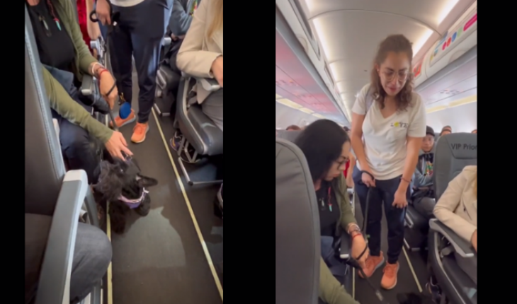 Viva Aerobus baja a mujer que viajaba con su perrito de compañía
