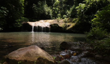 Amatique de Coahuayana se suma a las áreas naturales protegidas