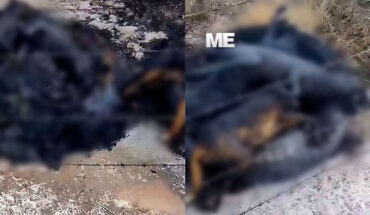 They denounce murder of 11 dogs in Maravatío, the bodies were found burned