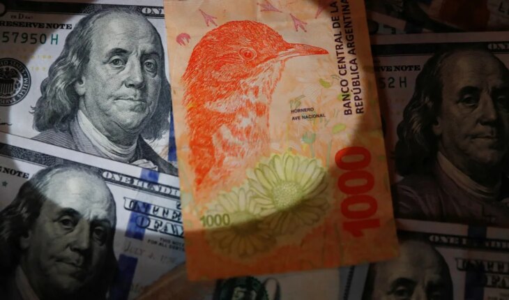 Un asesor económico de Milei señaló: “No vamos a dolarizar si no hay dólares”