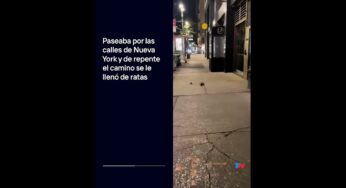 Video: Paseaba por las calles de Nueva York y de repente el camino se le llenó de ratas I #Shorts