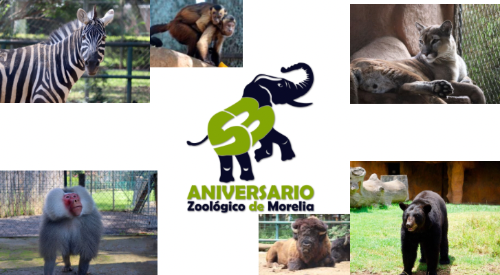 Zoo de Morelia cumple 53 años de contribuir a la preservación de especies