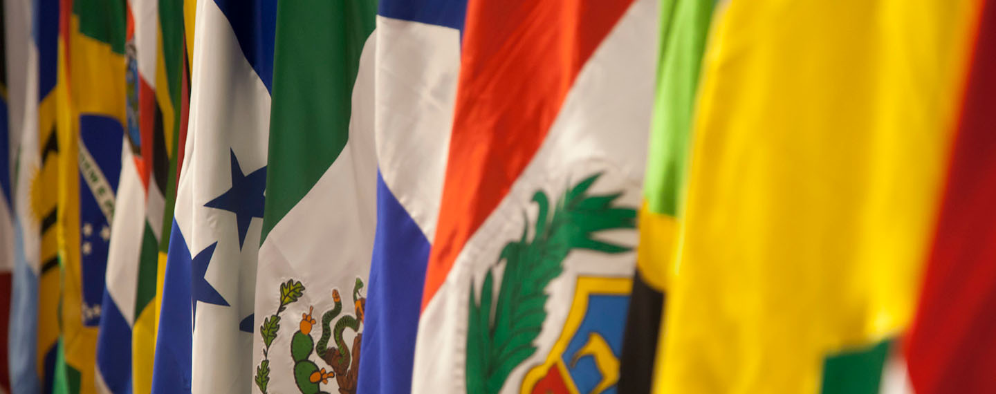 Imagen de banderas de países de América Latina en la reunión preparatoria de la CELAC en Quito, Ecuador (2015). Crisis en Gaza