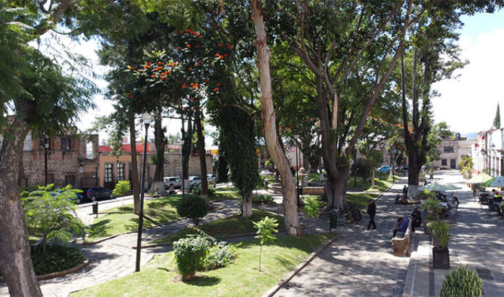Did you know that the Garden of La Soterraña dates from the late nineteenth century?