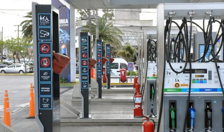 El Gobierno tomó medidas para garantizar el abastecimiento de combustible