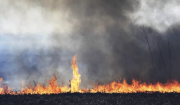 Incendios en Mendoza se agravan con la intensidad del viento Zonda en el Pedemonte