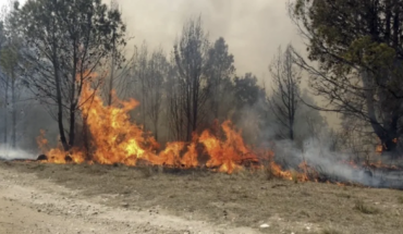 Incendios forestales en Argentina: Hay focos activos en Salta y Buenos Aires