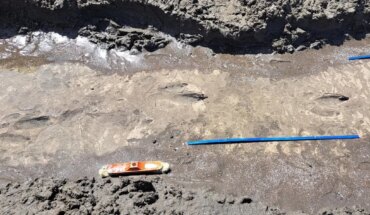 They discovered footprints of a prehistoric bird on the shores of Rio Negro