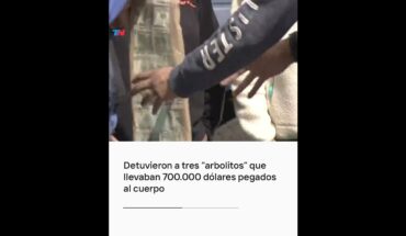 Video: Detuvieron a tres “arbolitos” que llevaban 700.000 dólares pegados al cuerpo I #Shorts