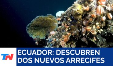 Video: ECUADOR I Descubren dos nuevos arrecifes de coral y montes submarinos en Galápagos