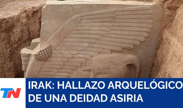 Video: IRAK I Desentierran una inmensa estatua de toro alado de hace más de 2.700 años
