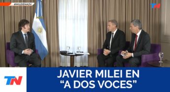 Video: JAVIER MILEI : “Todo lo que pueda estar en manos del sector privado va a estar en manos del privado”