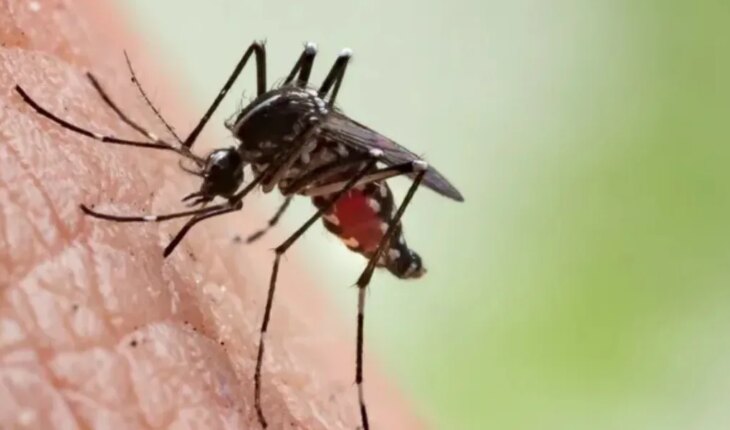 Corrientes: murió un hombre con dengue