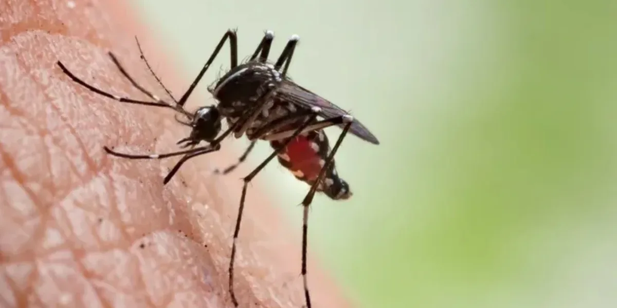 Corrientes: murió un hombre con dengue