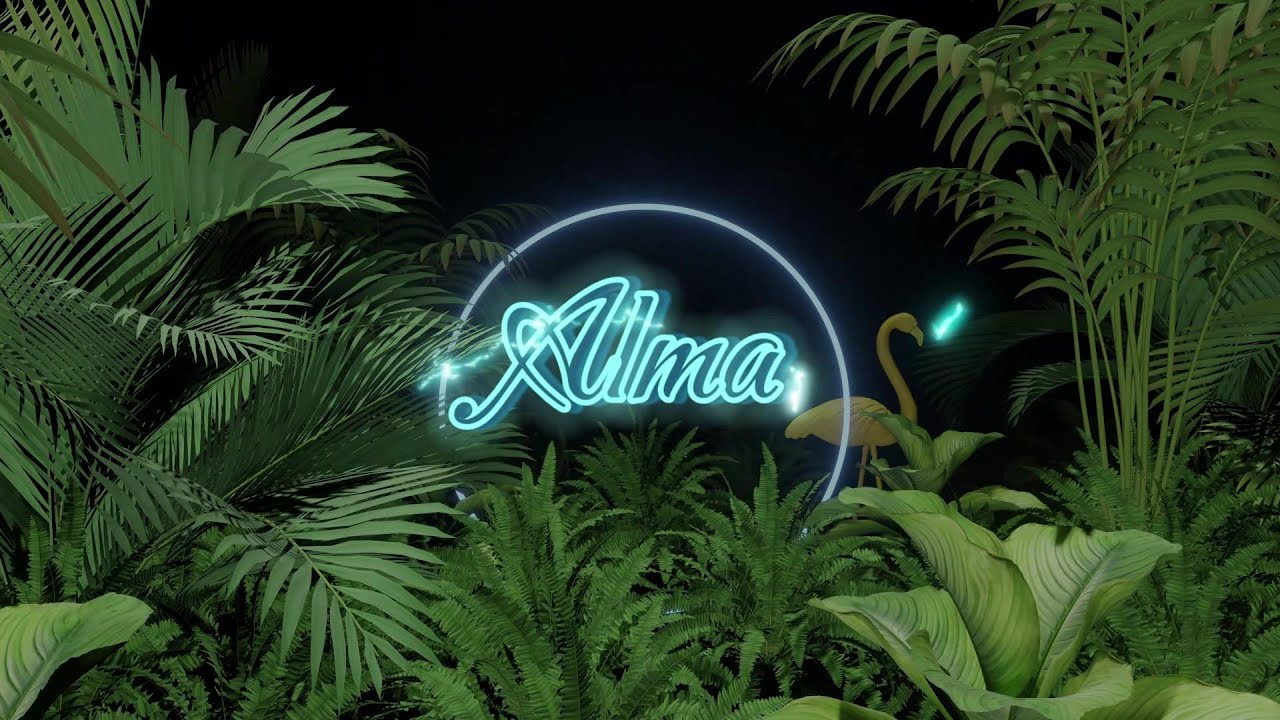 Alma (Remix) - La Reina del Flow 2 ♪ Canción oficial - Letra | Caracol TV