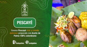 Video: Descubre el sabor de Barranquilla con Pescayé y el Aceite de palma 100% colombiano