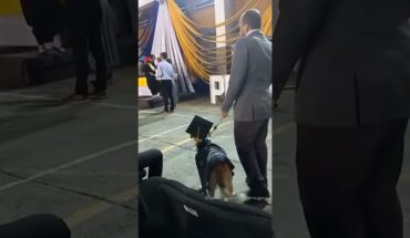 Video: Un perrito se “recibió” junto a estudiantes de secundaria: I #Shorts