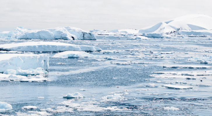 Arctic Ice, una empresa emergente, vende hielos de Groenlandia para tragos – MonitorExpresso.com