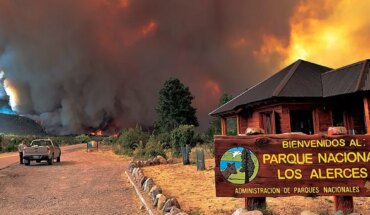 Avanza el incendio forestal en el Parque Nacional Los Alerces: “Está fuera de control”