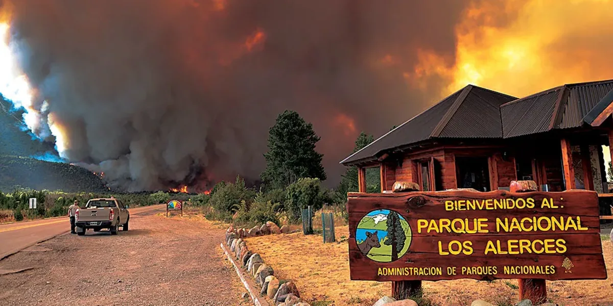 Avanza el incendio forestal en el Parque Nacional Los Alerces: "Está fuera de control"