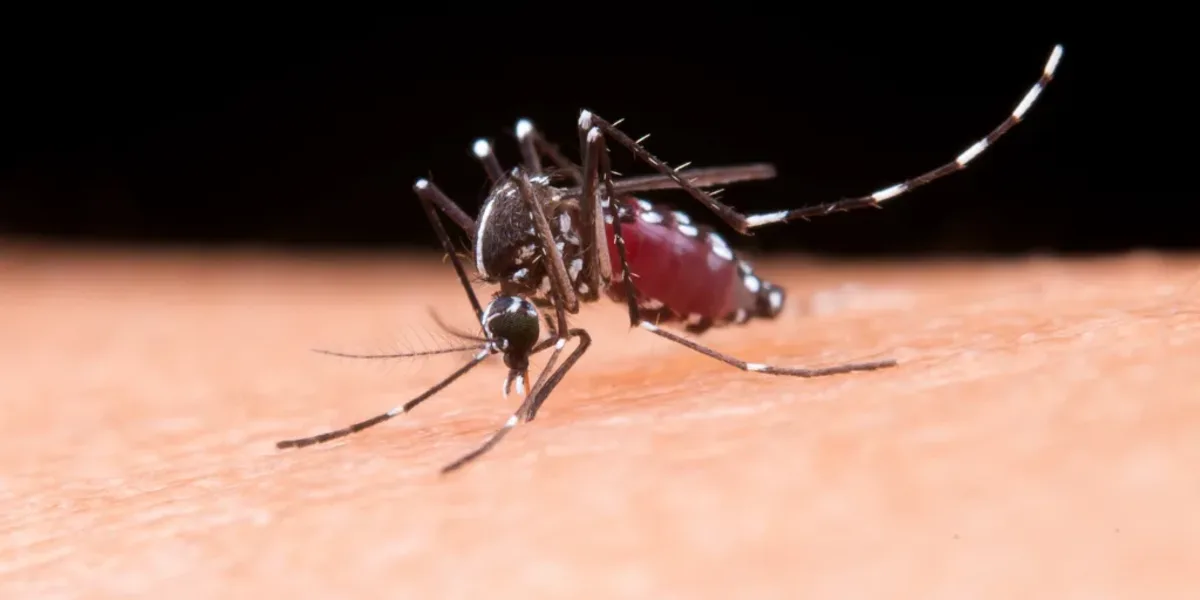 Corrientes authorities confirmed the third dengue death of the season