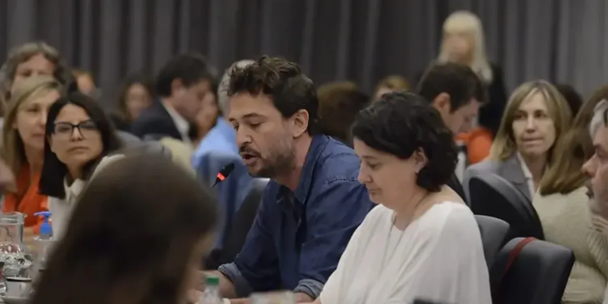 "El cine no pide plata": Santiago Mitre y Vanessa Ragone se pronunciaron en el Congreso contra las reformas de la Ley Ómnibus