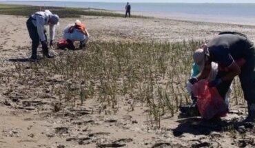 Environmentalists in Bahía Blanca denounce: “They dumped oil in a nature reserve, the damage is not repaired”