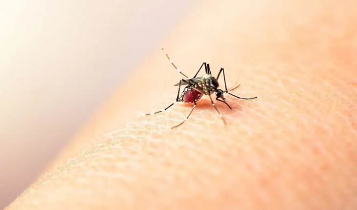 Formosa: Se reportaron más de mil casos de dengue en la última semana