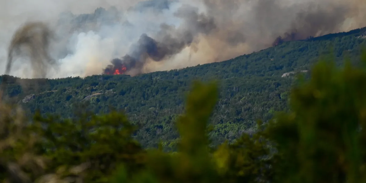 Incendio en Los Alerces: ya se quemaron más de 1.800 hectáreas