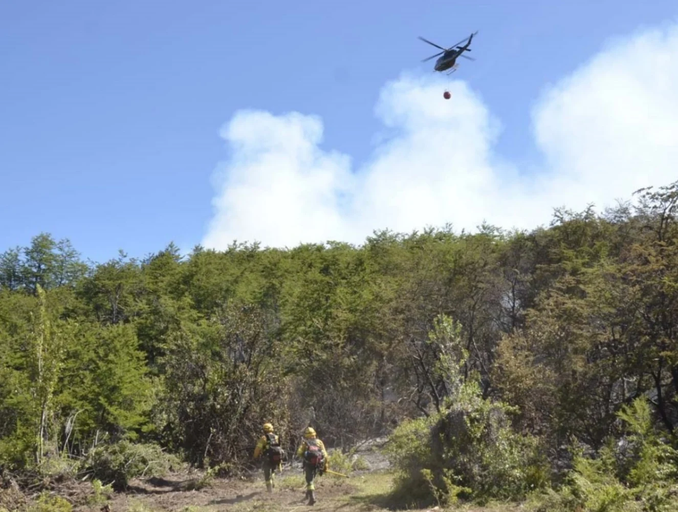 Incendio en el Parque Nacional Los Alerces: 2300 hectáreas quemadas y el viento complica la situación