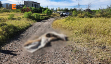 Tenía impactos de bala y estaba calcinado el cadáver abandonado en las afueras de Ario de Rayón – MonitorExpresso.com