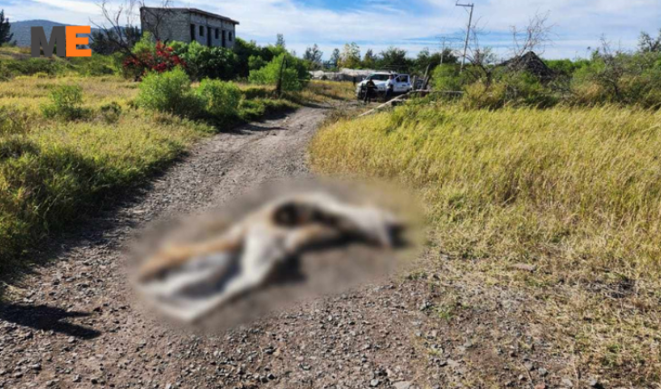 Tenía impactos de bala y estaba calcinado el cadáver abandonado en las afueras de Ario de Rayón – MonitorExpresso.com
