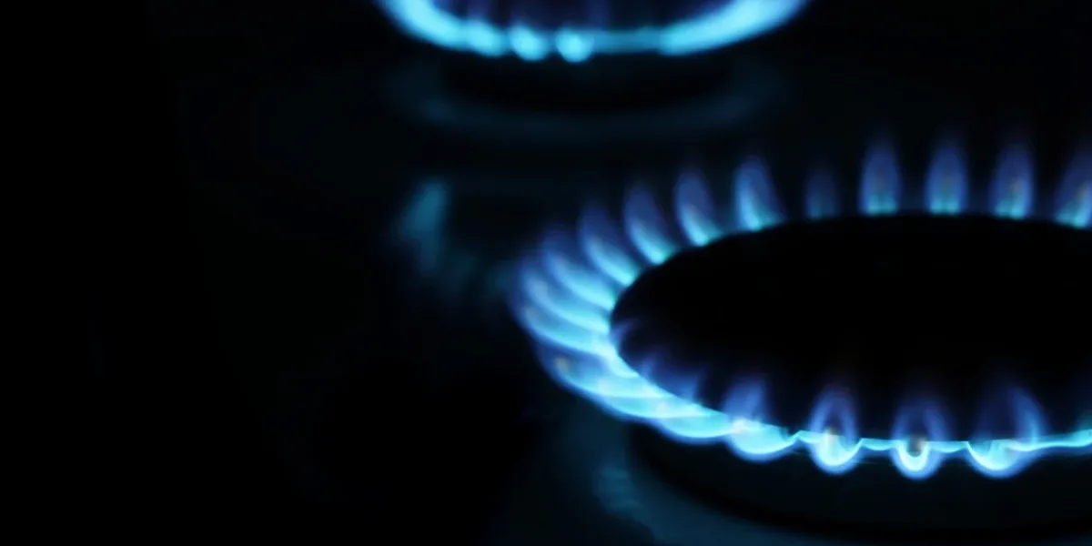 The government postponed gas tariff increases to March