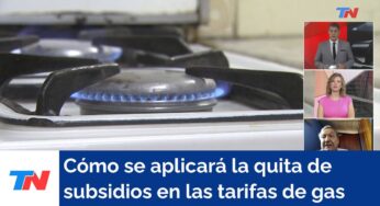 Video: Cómo se aplicará la quita de subsidios en las tarifas de gas que prepara el gobierno de Javier Milei