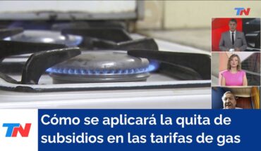 Video: Cómo se aplicará la quita de subsidios en las tarifas de gas que prepara el gobierno de Javier Milei