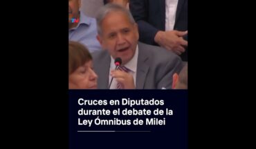 Video: Cruces en Diputados durante el debate de la Ley Ómnibus de Milei I #Shorts