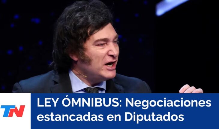 Video: LEY ÓMNIBUS Y PARO DE LA CGT: Semana clave para el Gobierno