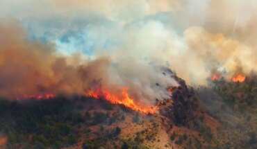 Alrededor de 60 mil hectáreas protegidas fueron afectadas por incendios en 2023