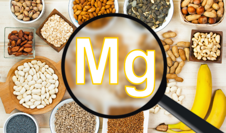 Conoce 5 fundamentales alimentos ricos en magnesio – MonitorExpresso.com