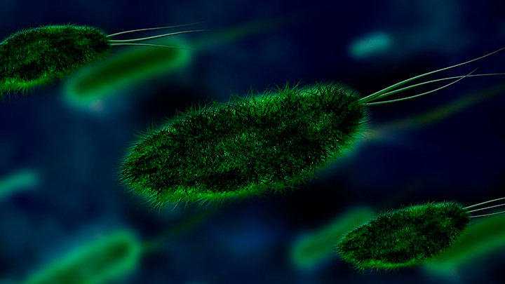 Desarrollan nuevo medicamento para tratar esta resistente bacteria – MonitorExpresso.com