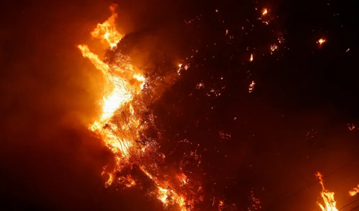 Devastador incendio forestal en Chile: fallecieron 19 personas