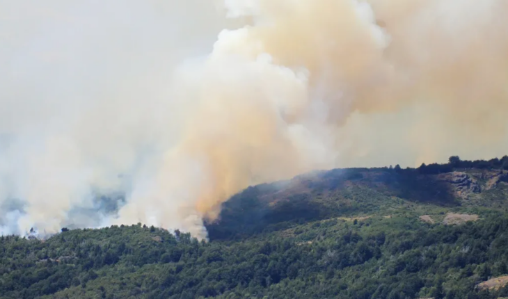 El Parque Nacional Los Alerces ya sufrió la quema de casi 8000 hectáreas