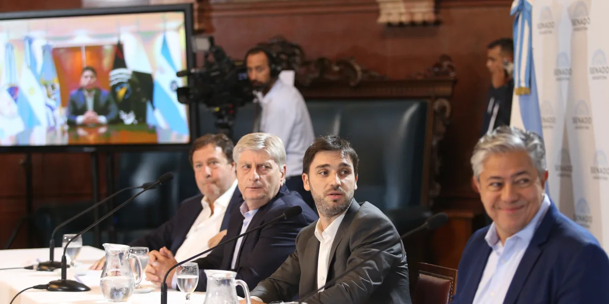 Gobernadores patagónicos piden diálogo al Gobierno Nacional: "La Argentina necesita unidad"