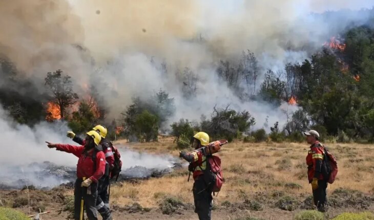 Millionaire reward offered to find out who originated the fire in Los Alerces National Park