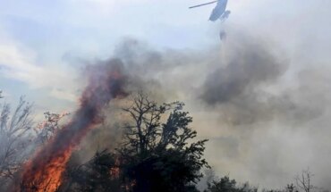 The fire persists in Los Alerces National Park, with more than 8,000 hectares consumed
